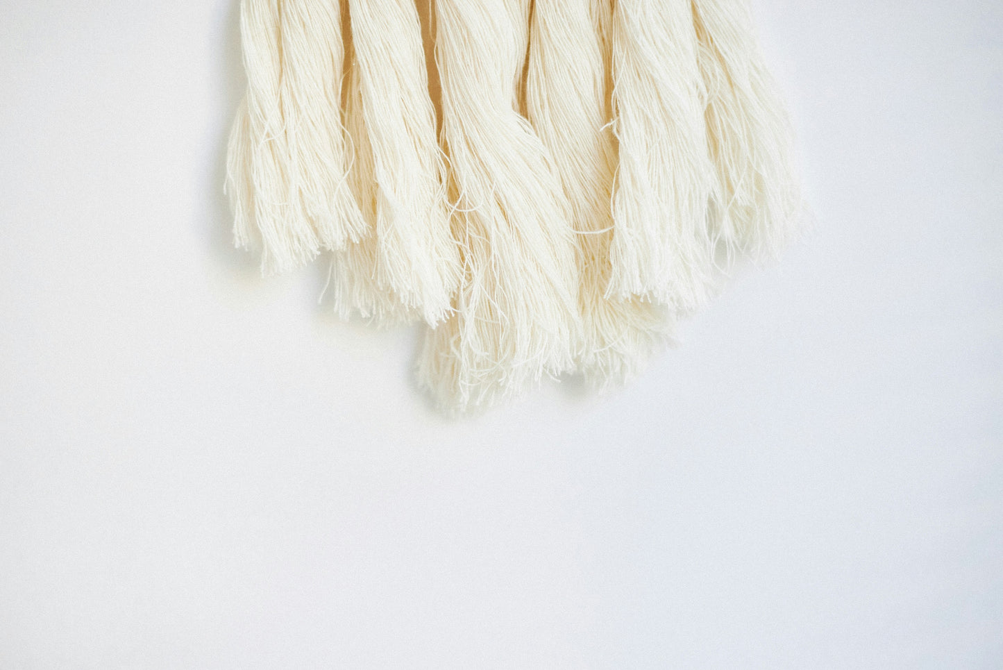 bagga wig
