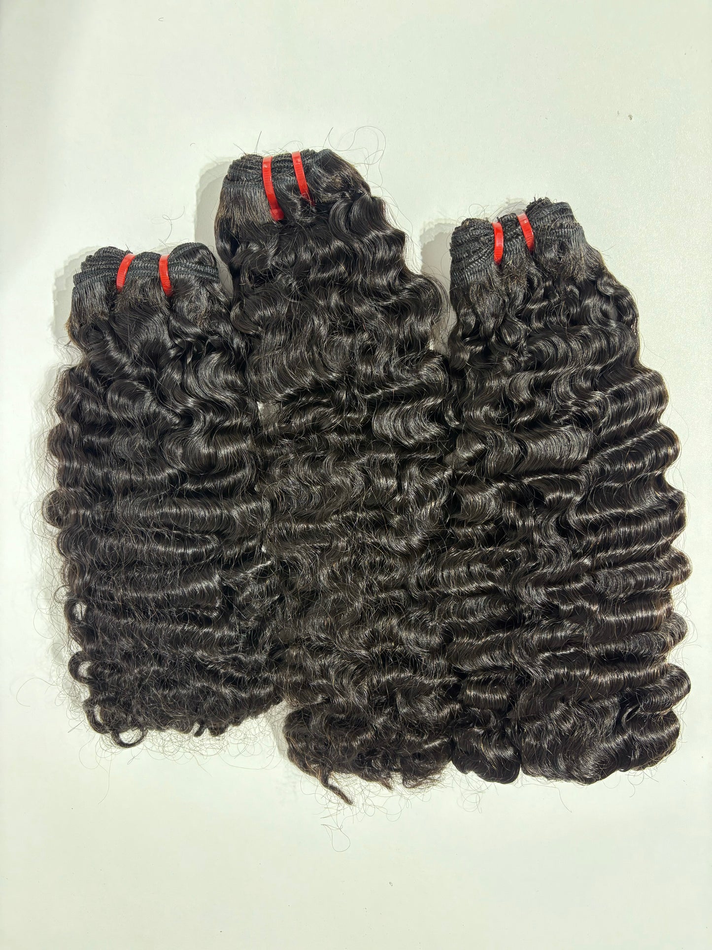 SDD BURMESE CURL